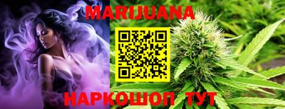 амф Камышлов
