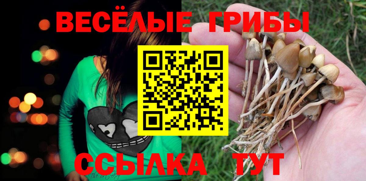 сколько стоит  Псилоцибиновые грибы Cubensis  Псилоцибиновые грибы MAGIC MUSHROOMS  Вход с VPN  Кузнецк 